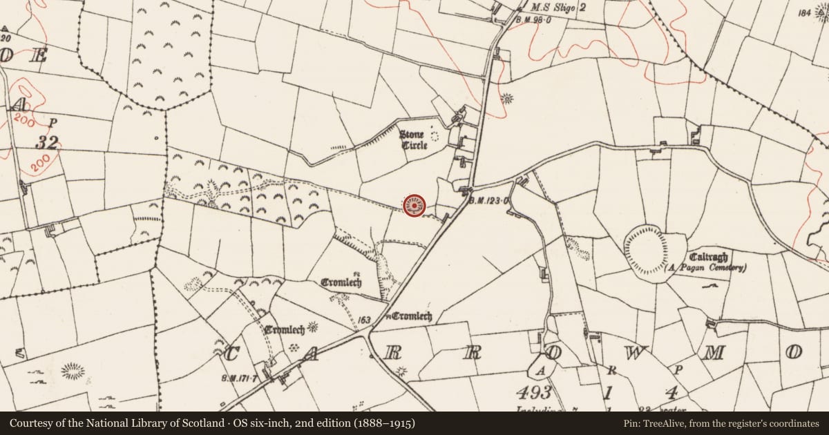 Ordnance Survey six-inch map, 2nd edition (1888–1915) covering the location of Ringfort - rath, Carrowmore, County Sligo, with a pin at the register's coordinates
