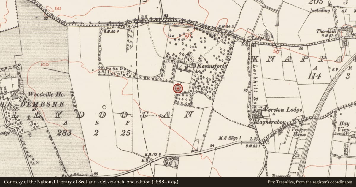 Ordnance Survey six-inch map, 2nd edition (1888–1915) covering the location of Ringfort - rath, Ballydoogan, County Sligo, with a pin at the register's coordinates