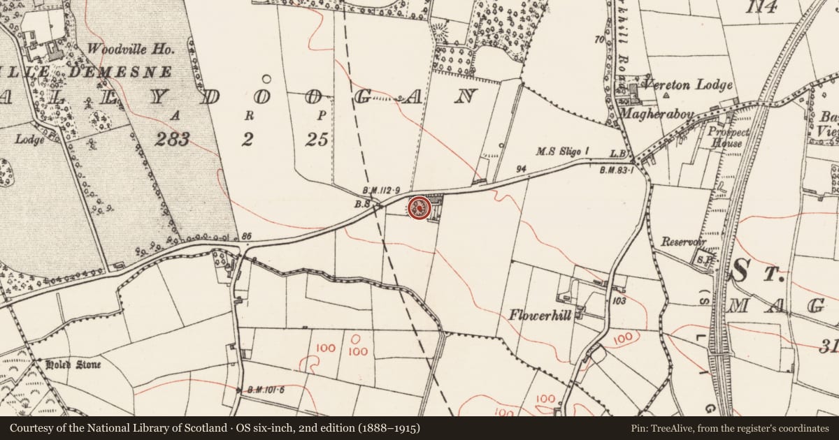 Ordnance Survey six-inch map, 2nd edition (1888–1915) covering the location of Ringfort - rath, Ballydoogan, County Sligo, with a pin at the register's coordinates