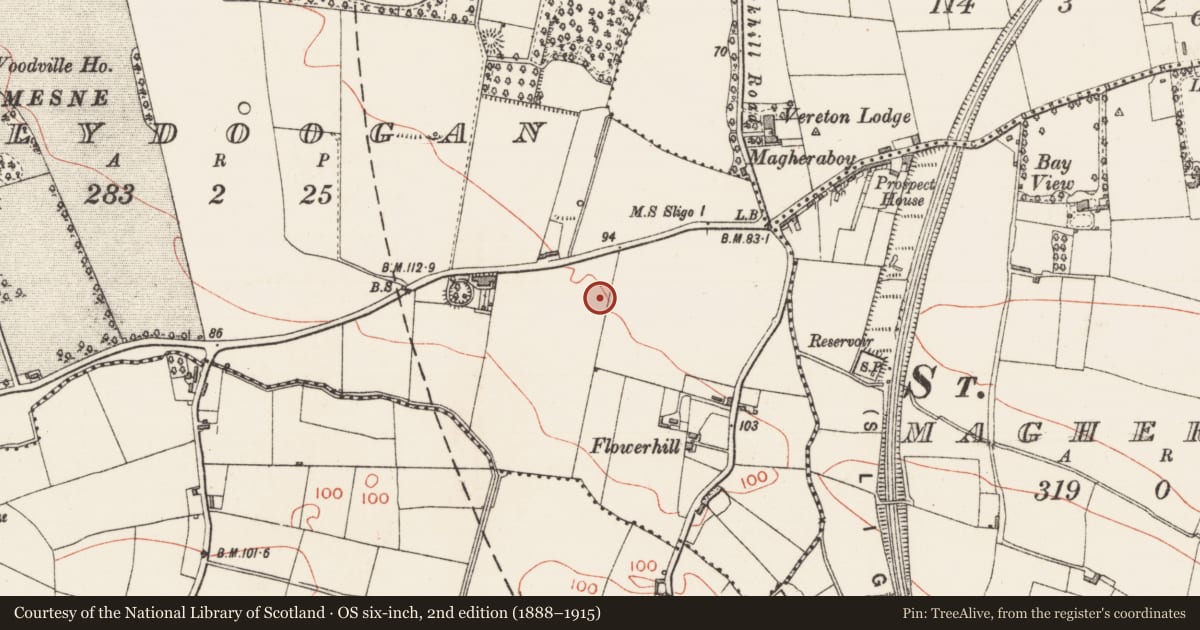 Ordnance Survey six-inch map, 2nd edition (1888–1915) covering the location of Earthwork, Ballydoogan, County Sligo, with a pin at the register's coordinates