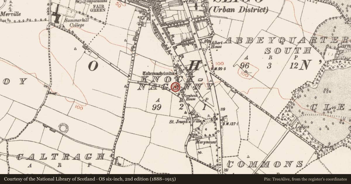 Ordnance Survey six-inch map, 2nd edition (1888–1915) covering the location of Well, Knocknaganny, County Sligo, with a pin at the register's coordinates