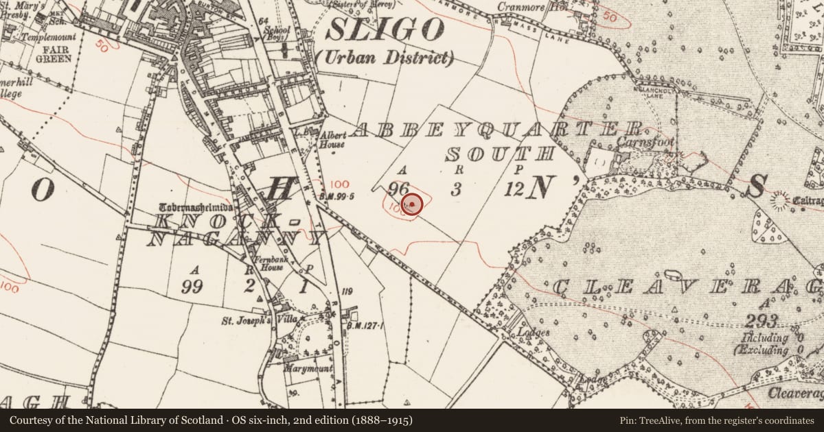 Ordnance Survey six-inch map, 2nd edition (1888–1915) covering the location of Ringfort - unclassified, Abbeyquarter South, County Sligo, with a pin at the register's coordinates