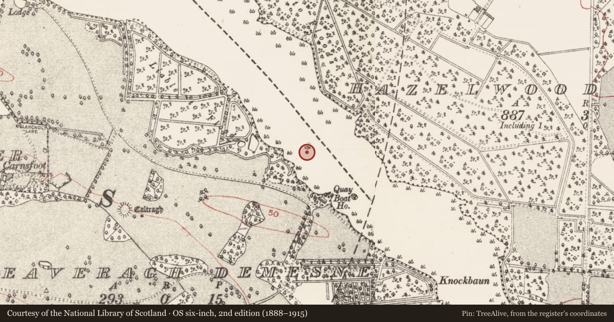 Ordnance Survey six-inch map, 2nd edition (1888–1915) covering the location of Crannog, Garvoge River, County Sligo, with a pin at the register's coordinates