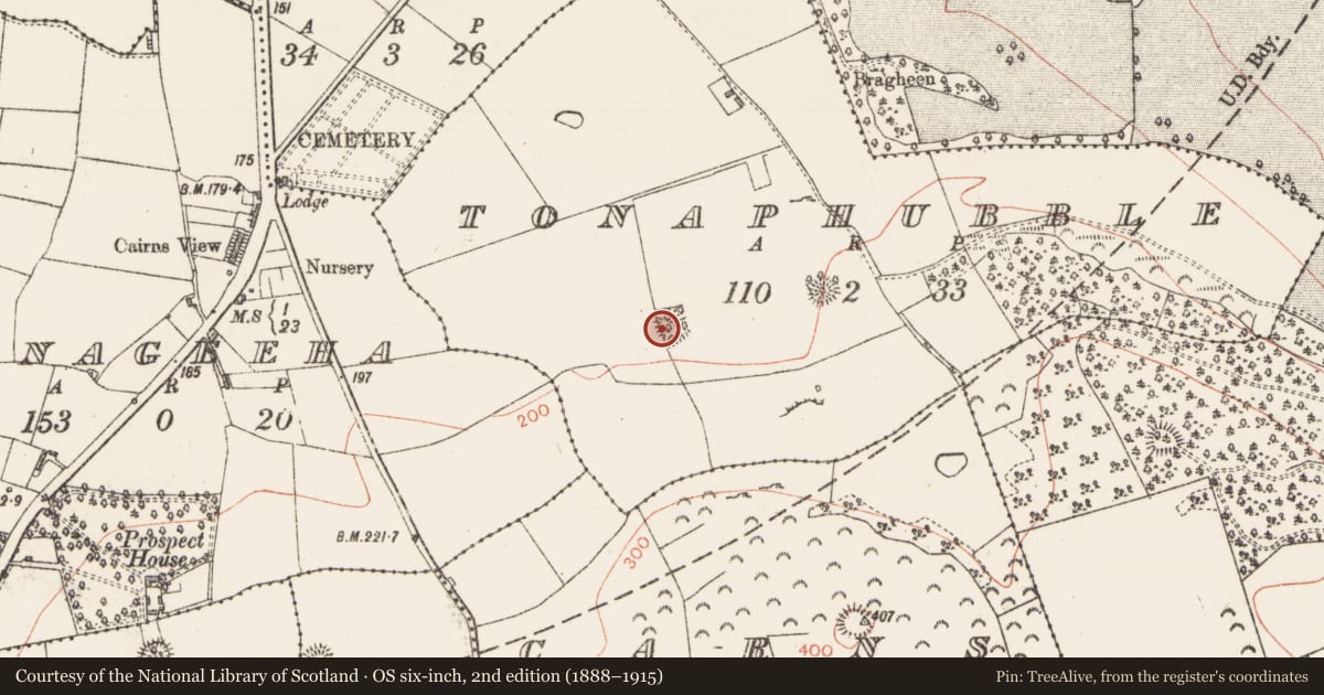 Ordnance Survey six-inch map, 2nd edition (1888–1915) covering the location of Hut site, Tonaphubble, County Sligo, with a pin at the register's coordinates