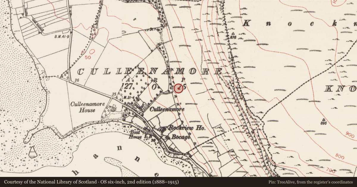 Ordnance Survey six-inch map, 2nd edition (1888–1915) covering the location of Midden, Culleenamore, County Sligo, with a pin at the register's coordinates