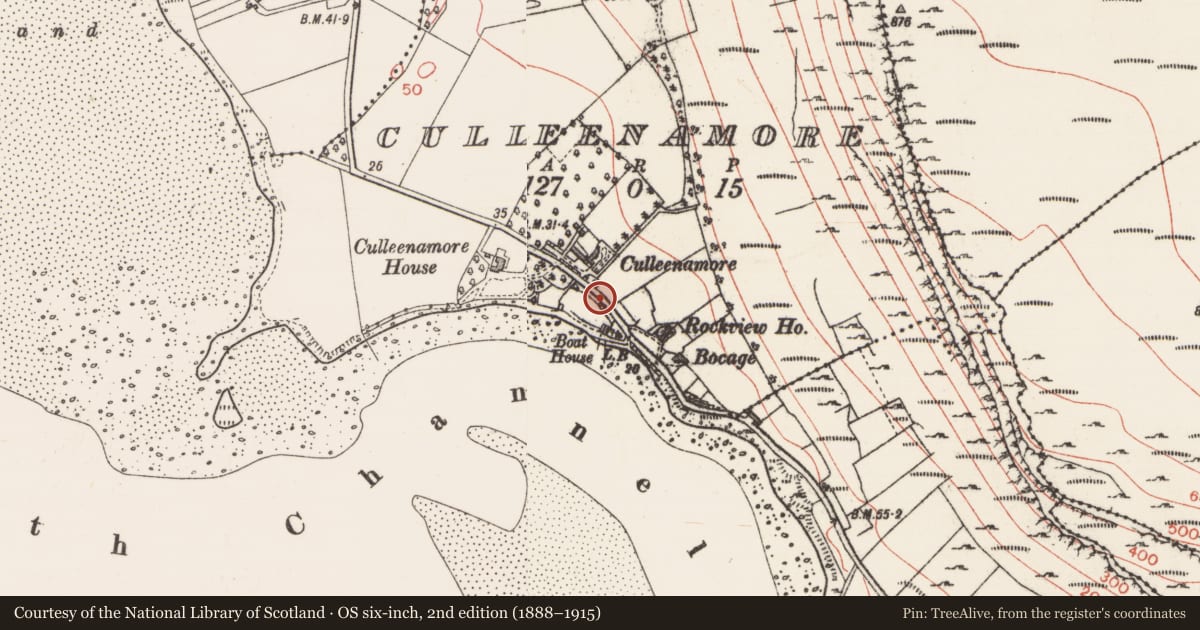 Ordnance Survey six-inch map, 2nd edition (1888–1915) covering the location of Standing stone, Culleenamore, County Sligo, with a pin at the register's coordinates