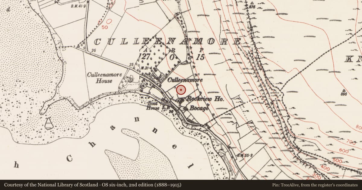 Ordnance Survey six-inch map, 2nd edition (1888–1915) covering the location of Midden, Culleenamore, County Sligo, with a pin at the register's coordinates