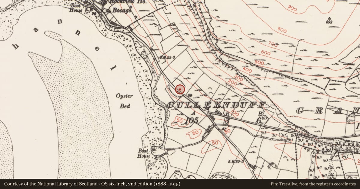 Ordnance Survey six-inch map, 2nd edition (1888–1915) covering the location of Enclosure, Culleenduff, County Sligo, with a pin at the register's coordinates