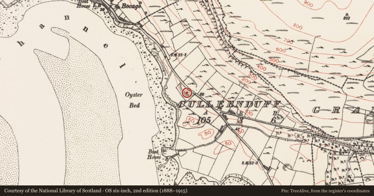Ordnance Survey six-inch map, 2nd edition (1888–1915) covering the location of Midden, Culleenduff, County Sligo, with a pin at the register's coordinates