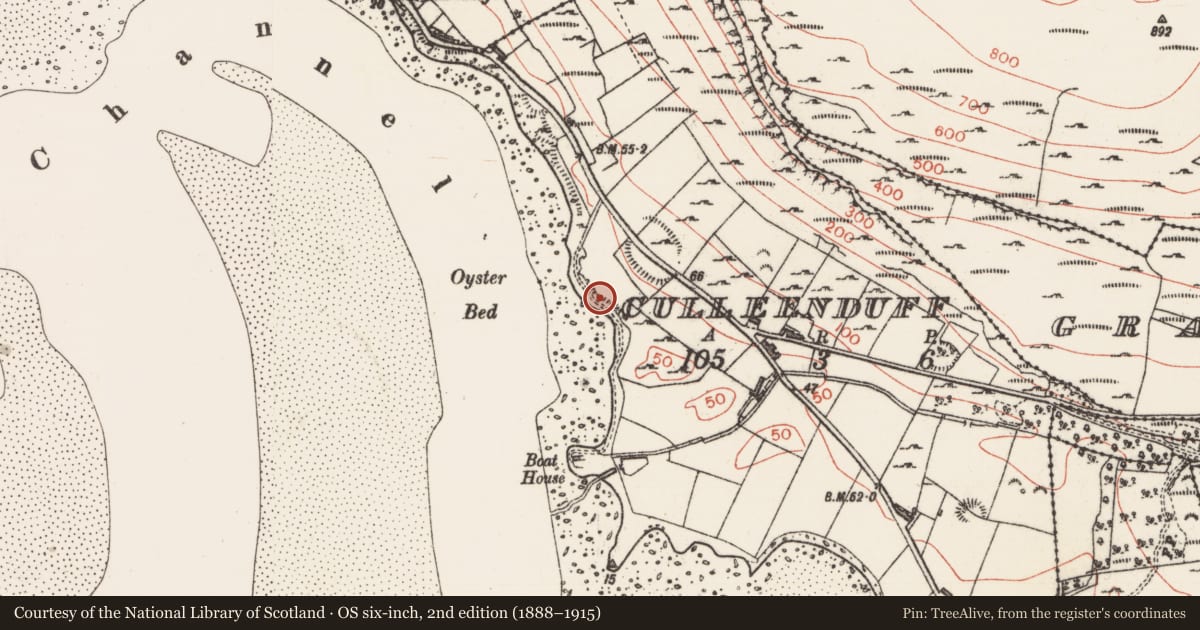 Ordnance Survey six-inch map, 2nd edition (1888–1915) covering the location of Midden, Culleenduff, County Sligo, with a pin at the register's coordinates