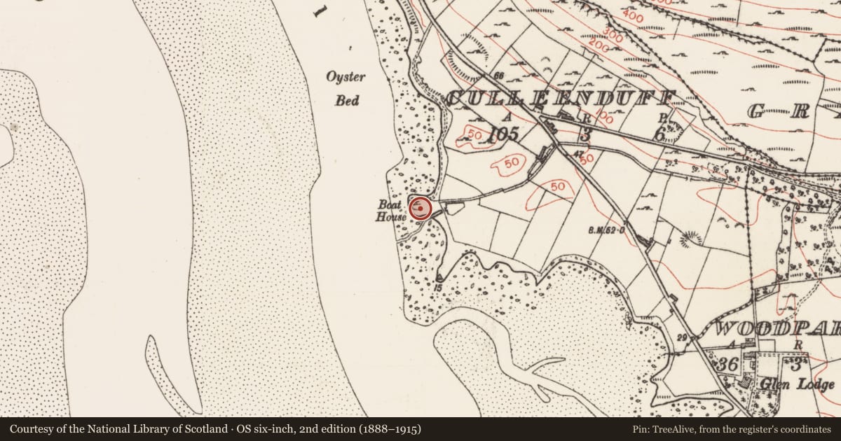 Ordnance Survey six-inch map, 2nd edition (1888–1915) covering the location of Midden, Culleenduff, County Sligo, with a pin at the register's coordinates