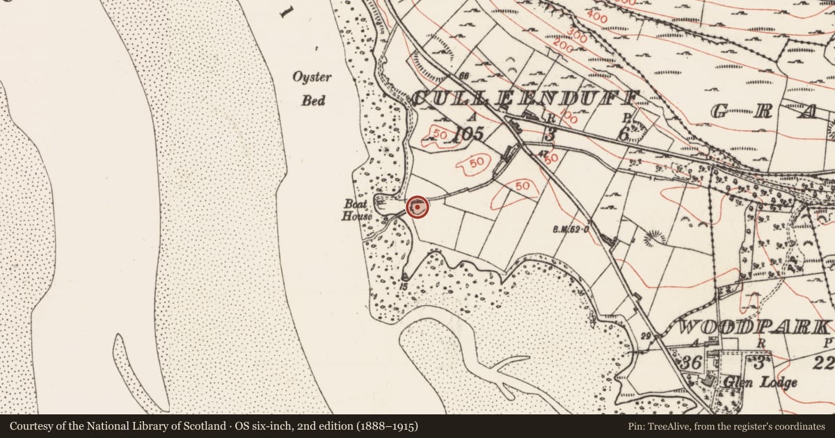 Ordnance Survey six-inch map, 2nd edition (1888–1915) covering the location of Settlement platform, Culleenduff, County Sligo, with a pin at the register's coordinates