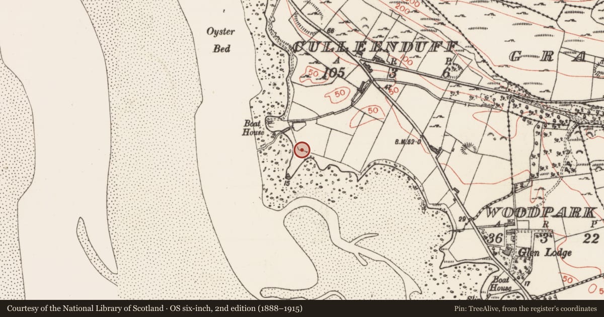 Ordnance Survey six-inch map, 2nd edition (1888–1915) covering the location of Midden, Culleenduff, County Sligo, with a pin at the register's coordinates