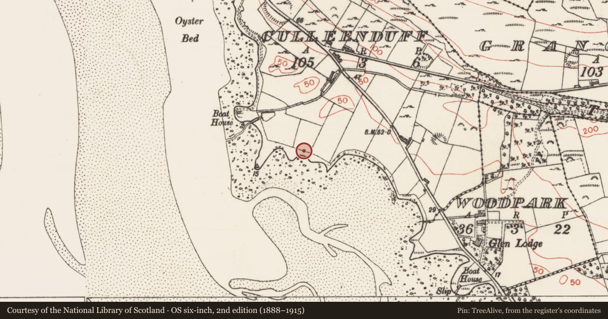 Ordnance Survey six-inch map, 2nd edition (1888–1915) covering the location of Midden, Culleenduff, County Sligo, with a pin at the register's coordinates