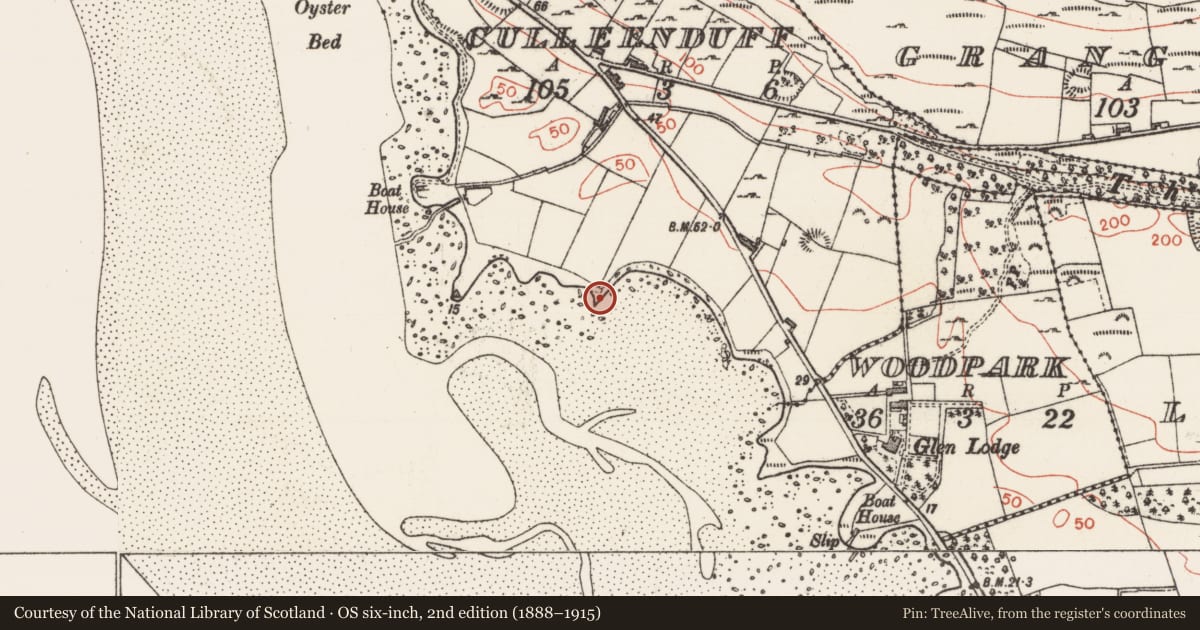 Ordnance Survey six-inch map, 2nd edition (1888–1915) covering the location of Midden, Culleenduff, County Sligo, with a pin at the register's coordinates