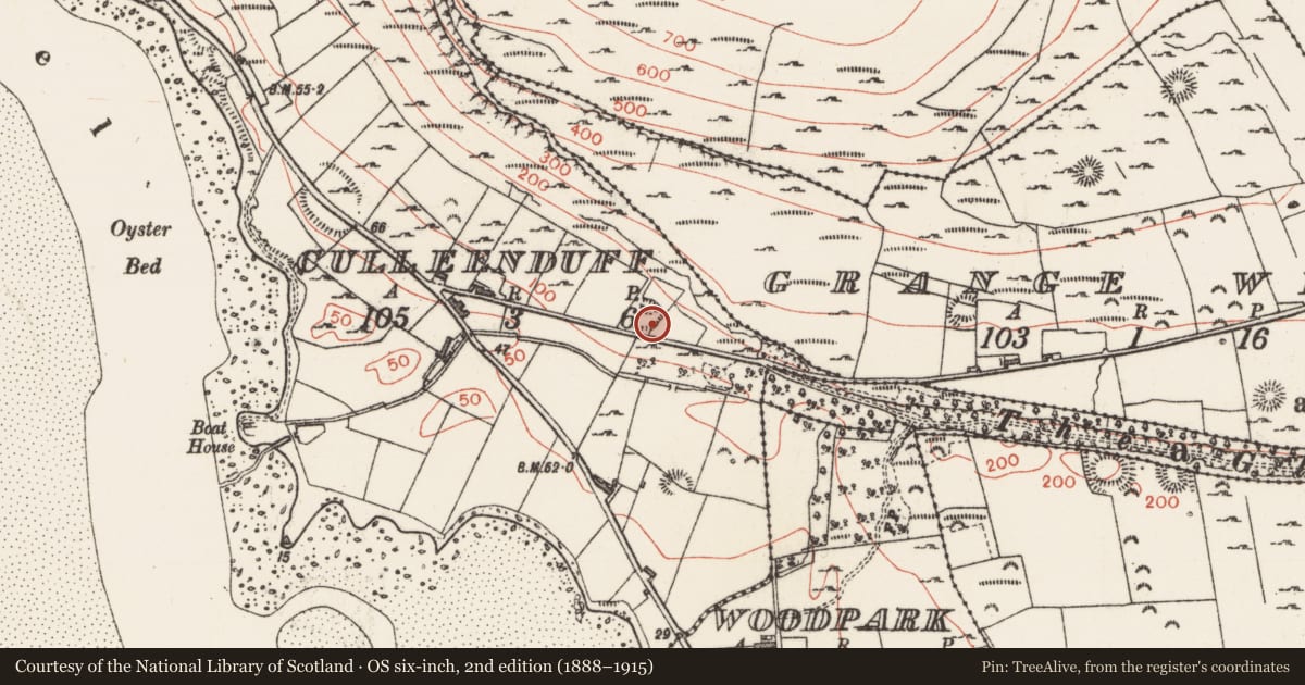 Ordnance Survey six-inch map, 2nd edition (1888–1915) covering the location of Enclosure, Culleenduff, County Sligo, with a pin at the register's coordinates