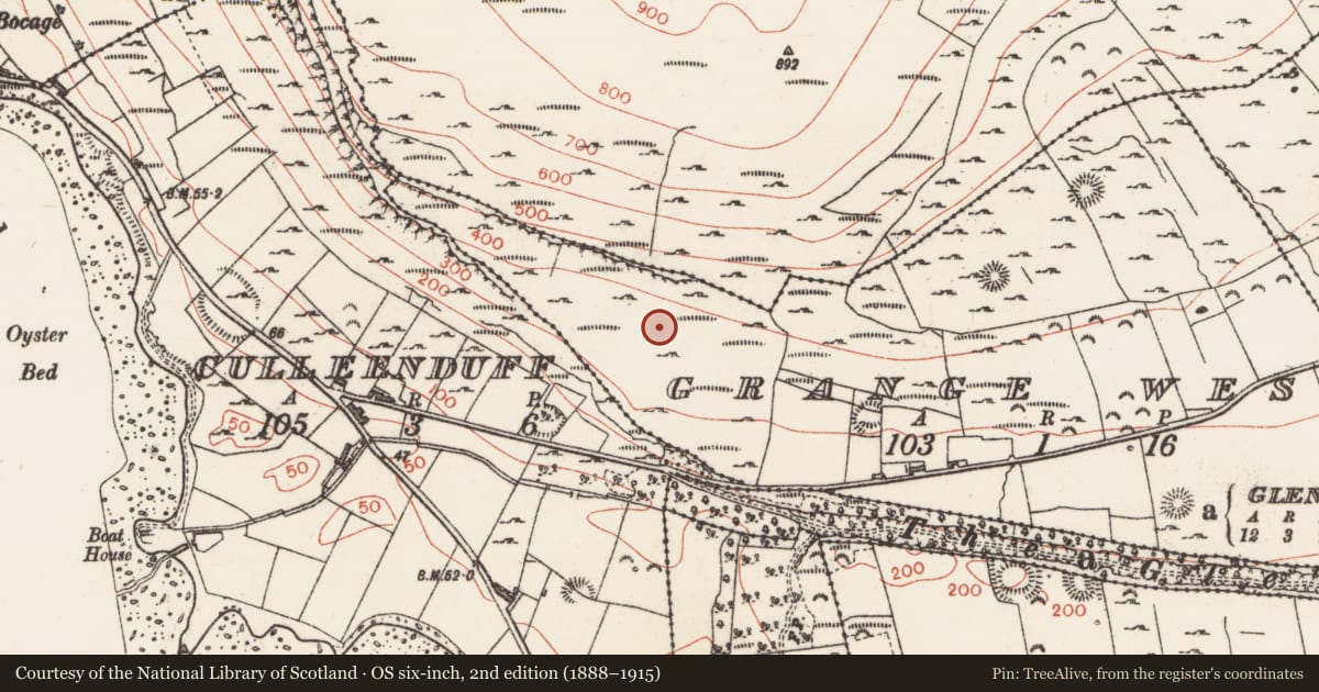 Ordnance Survey six-inch map, 2nd edition (1888–1915) covering the location of Hut site, Grange West, County Sligo, with a pin at the register's coordinates