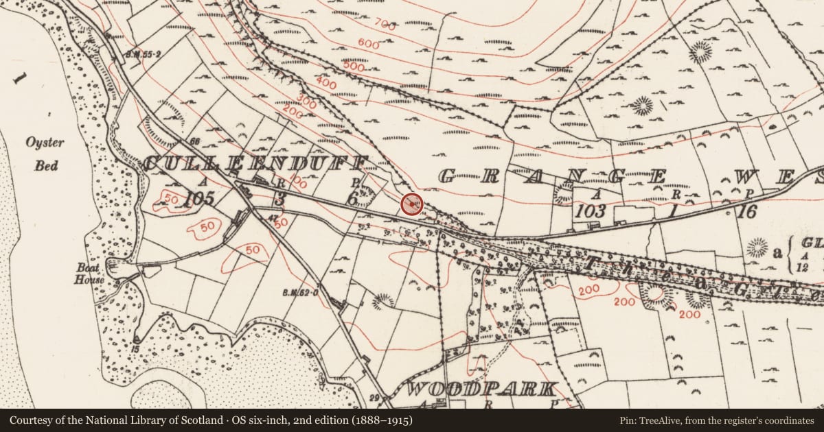 Ordnance Survey six-inch map, 2nd edition (1888–1915) covering the location of Midden, Culleenduff, County Sligo, with a pin at the register's coordinates