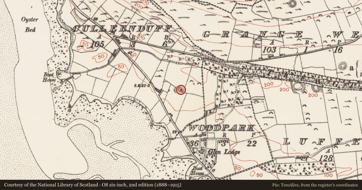 Ordnance Survey six-inch map, 2nd edition (1888–1915) covering the location of Settlement platform, Culleenduff, County Sligo, with a pin at the register's coordinates