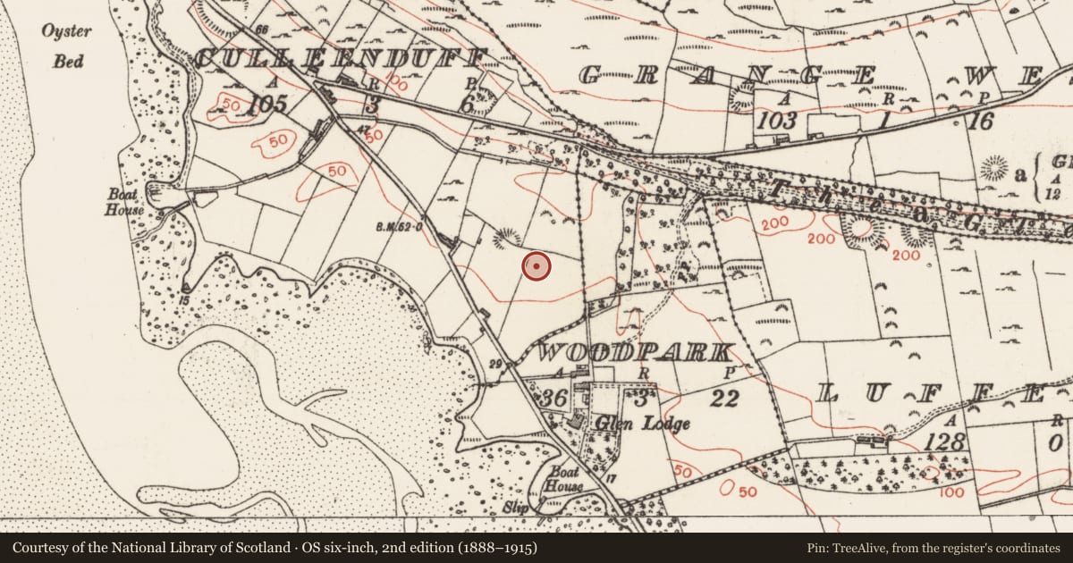 Ordnance Survey six-inch map, 2nd edition (1888–1915) covering the location of Midden, Culleenduff, County Sligo, with a pin at the register's coordinates