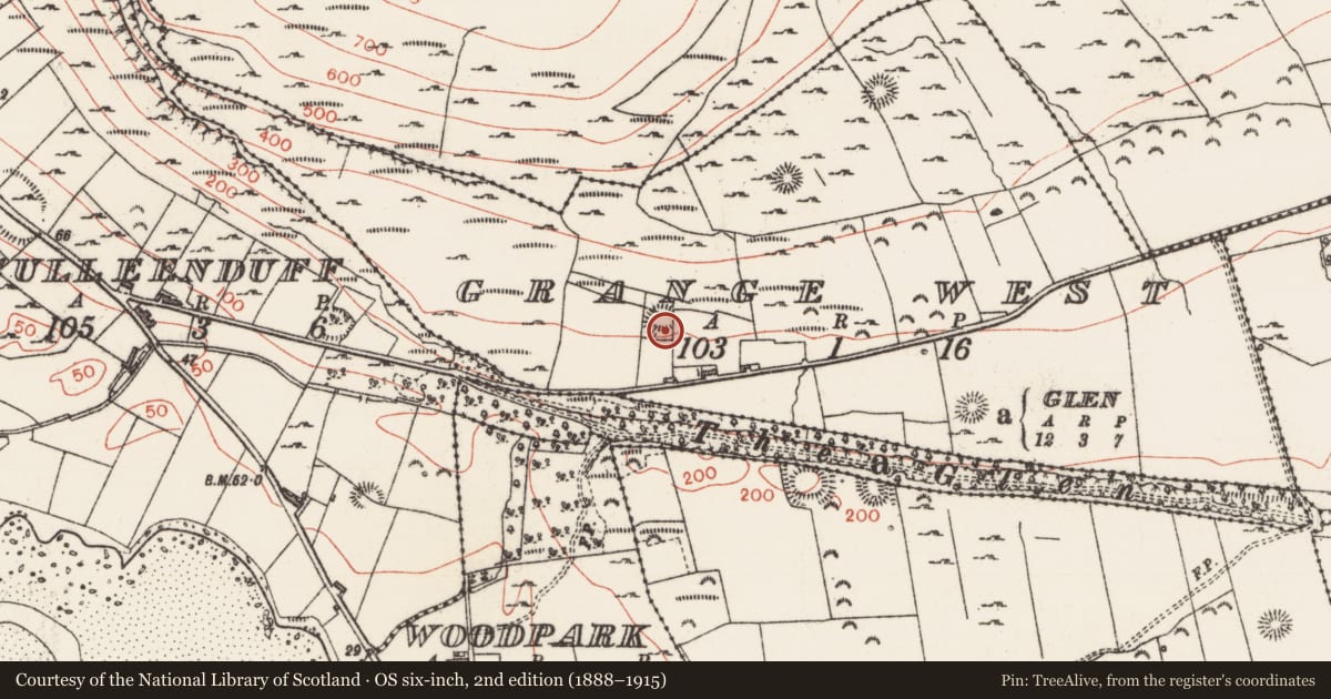 Ordnance Survey six-inch map, 2nd edition (1888–1915) covering the location of Midden, Grange West, County Sligo, with a pin at the register's coordinates