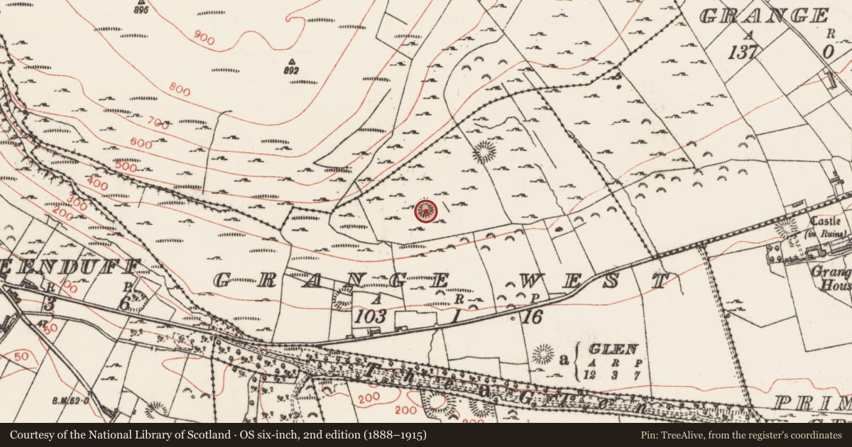 Ordnance Survey six-inch map, 2nd edition (1888–1915) covering the location of Settlement platform, Grange West, County Sligo, with a pin at the register's coordinates