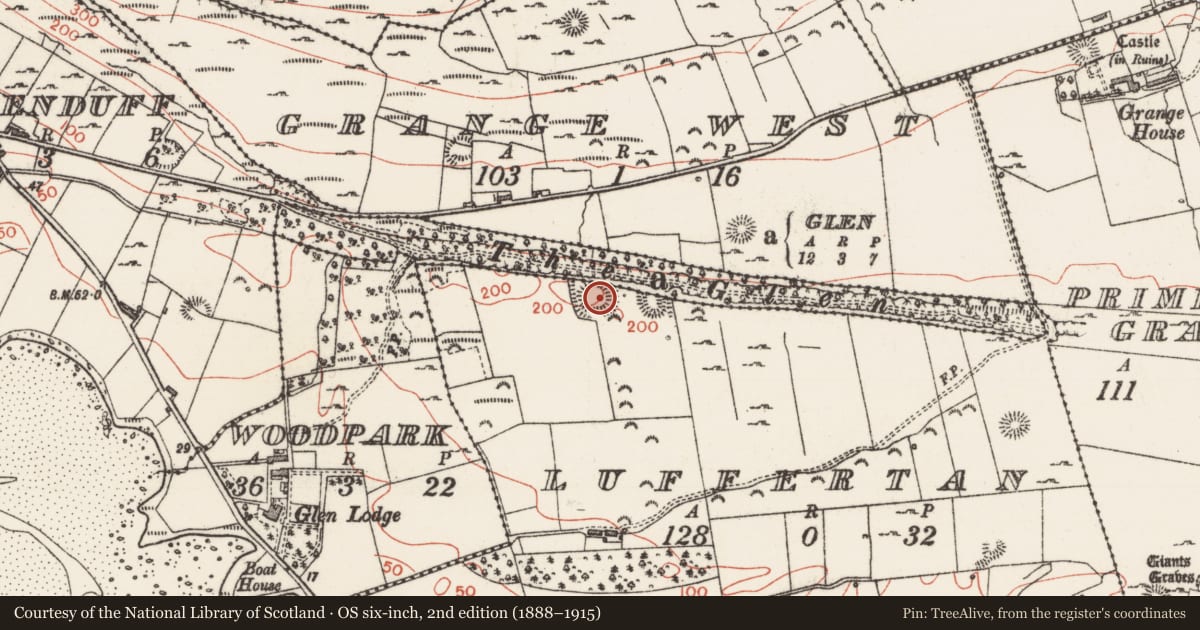 Ordnance Survey six-inch map, 2nd edition (1888–1915) covering the location of Souterrain, Luffertan, County Sligo, with a pin at the register's coordinates