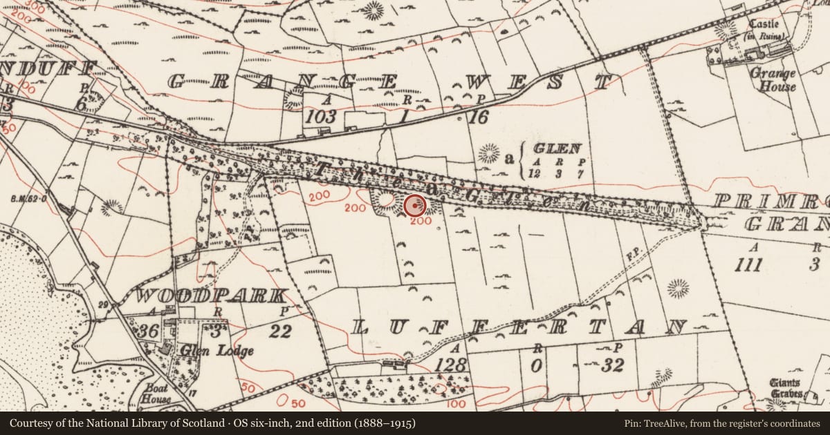 Ordnance Survey six-inch map, 2nd edition (1888–1915) covering the location of Settlement platform, Luffertan, County Sligo, with a pin at the register's coordinates