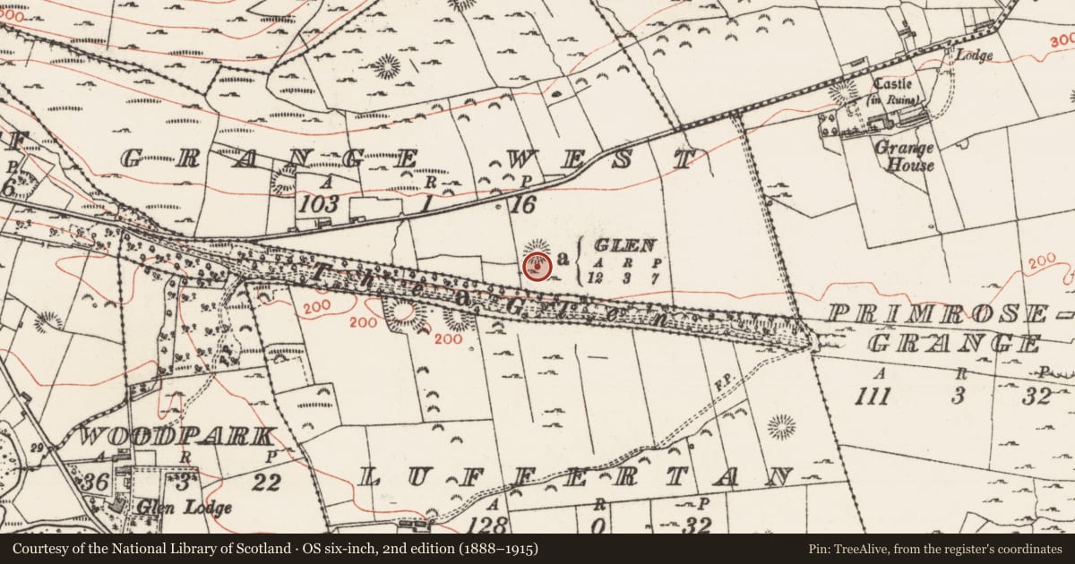 Ordnance Survey six-inch map, 2nd edition (1888–1915) covering the location of Ringfort - cashel, Grange West, County Sligo, with a pin at the register's coordinates