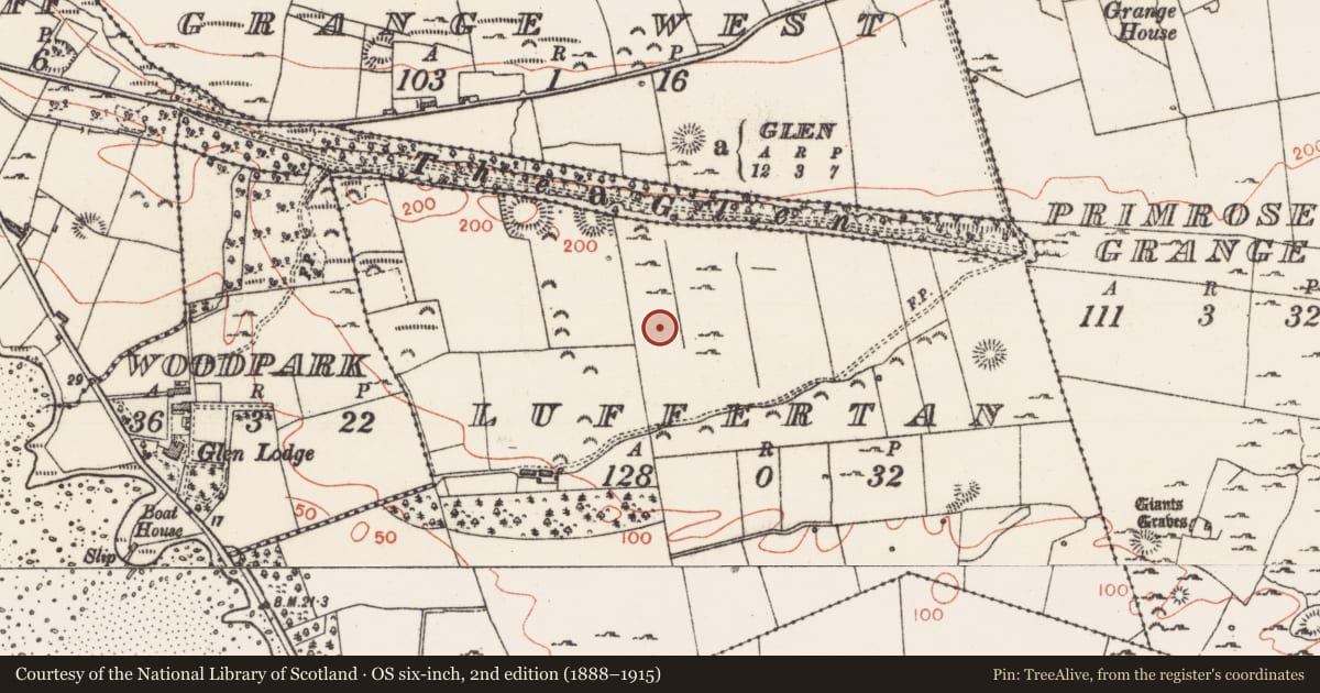 Ordnance Survey six-inch map, 2nd edition (1888–1915) covering the location of Midden, Luffertan, County Sligo, with a pin at the register's coordinates