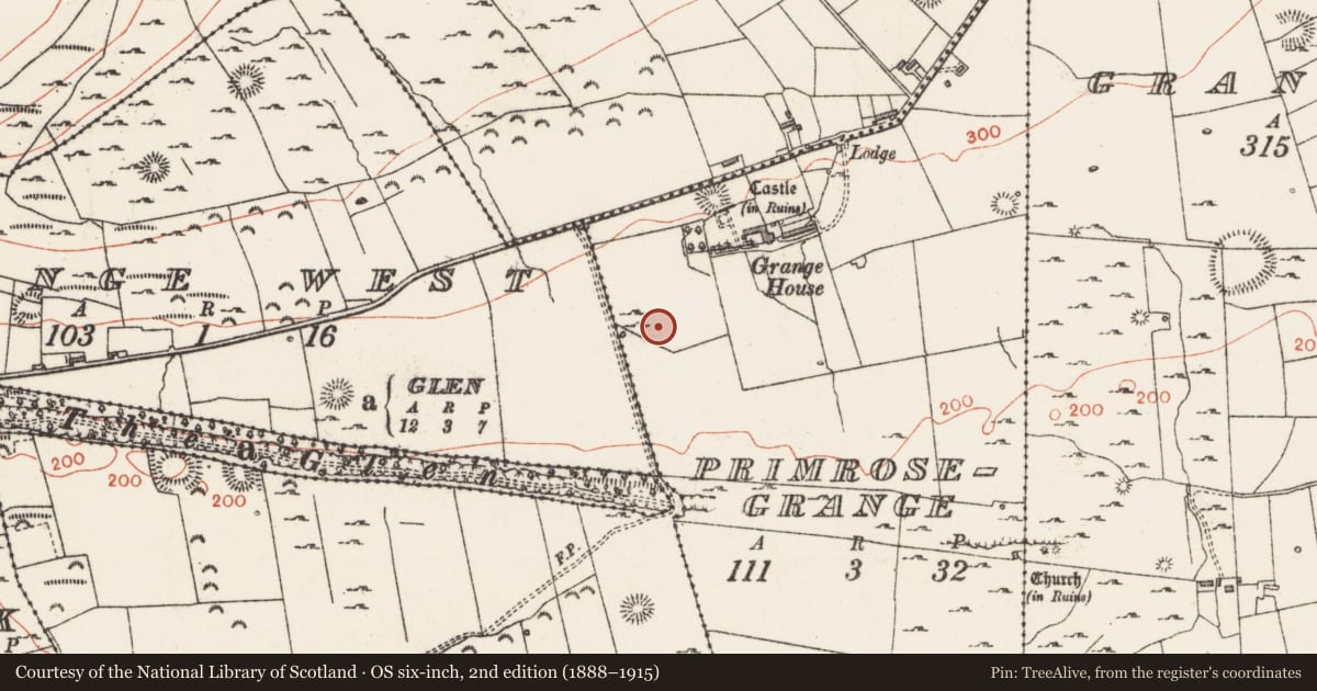 Ordnance Survey six-inch map, 2nd edition (1888–1915) covering the location of Kiln, Primrosegrange, County Sligo, with a pin at the register's coordinates