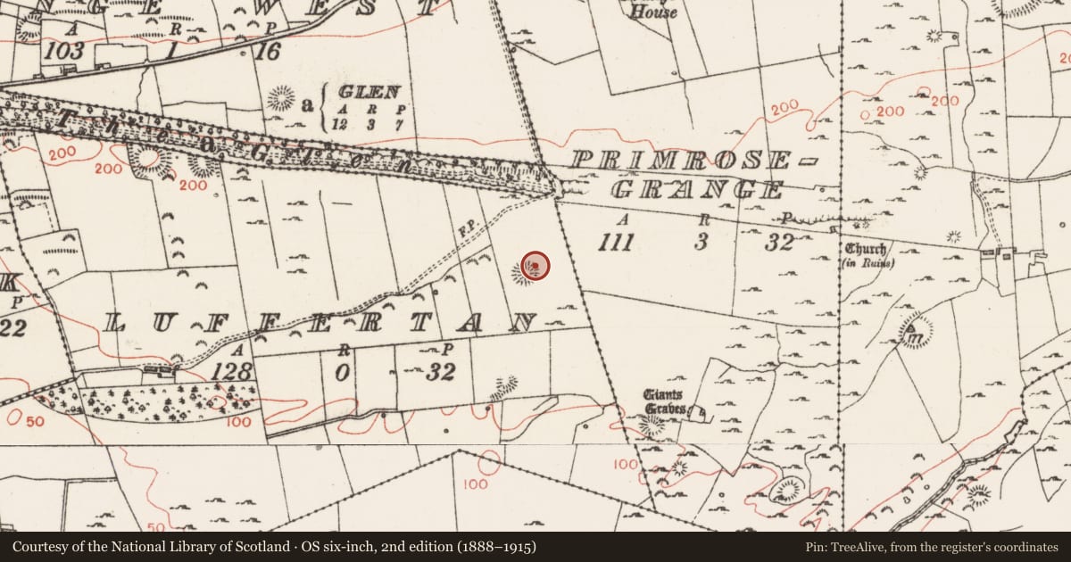 Ordnance Survey six-inch map, 2nd edition (1888–1915) covering the location of Souterrain, Luffertan, County Sligo, with a pin at the register's coordinates