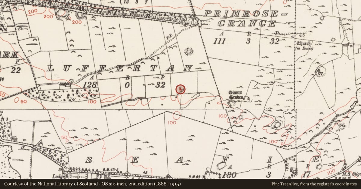 Ordnance Survey six-inch map, 2nd edition (1888–1915) covering the location of Earthwork, Luffertan, County Sligo, with a pin at the register's coordinates