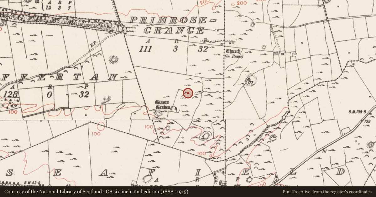 Ordnance Survey six-inch map, 2nd edition (1888–1915) covering the location of Field system, Primrosegrange, County Sligo, with a pin at the register's coordinates