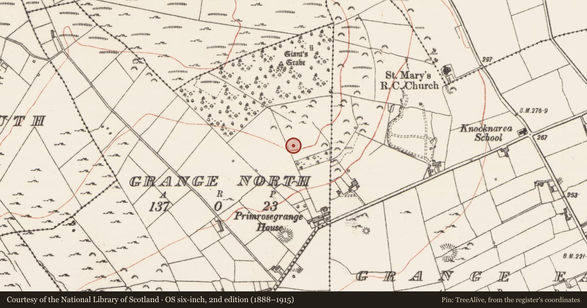 Ordnance Survey six-inch map, 2nd edition (1888–1915) covering the location of Enclosure, Grange North, County Sligo, with a pin at the register's coordinates