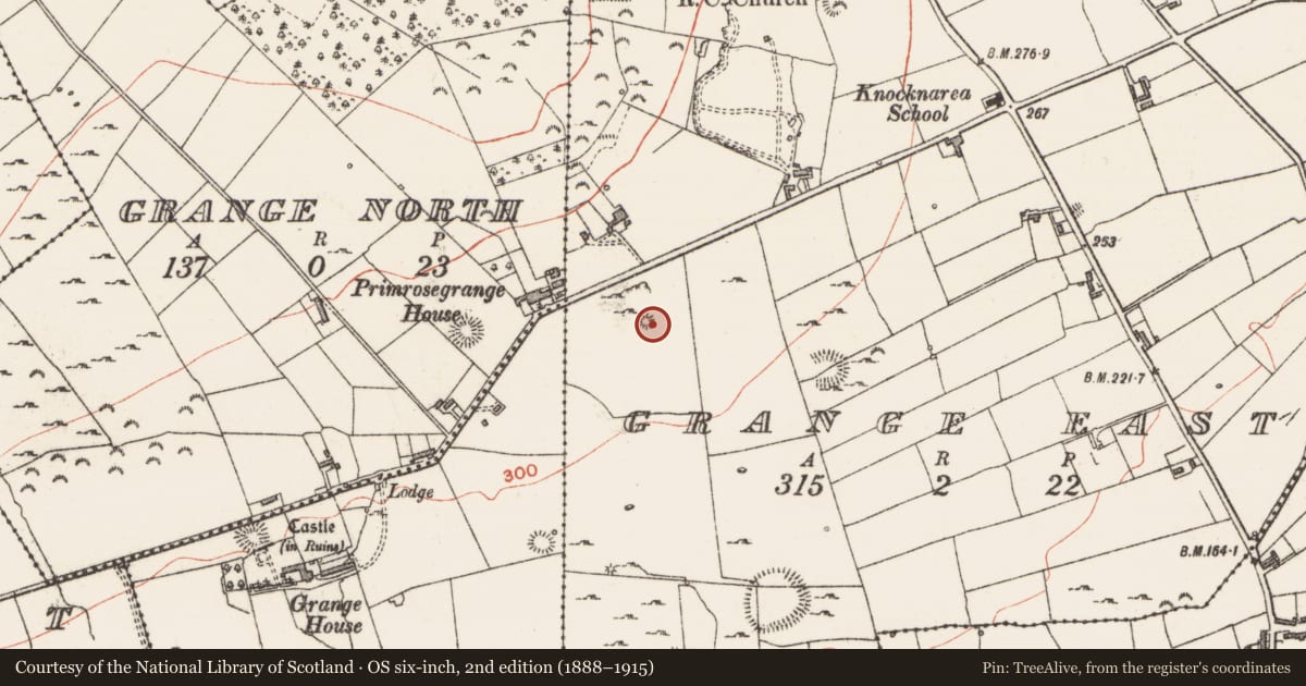 Ordnance Survey six-inch map, 2nd edition (1888–1915) covering the location of Kiln - lime, Grange East, County Sligo, with a pin at the register's coordinates