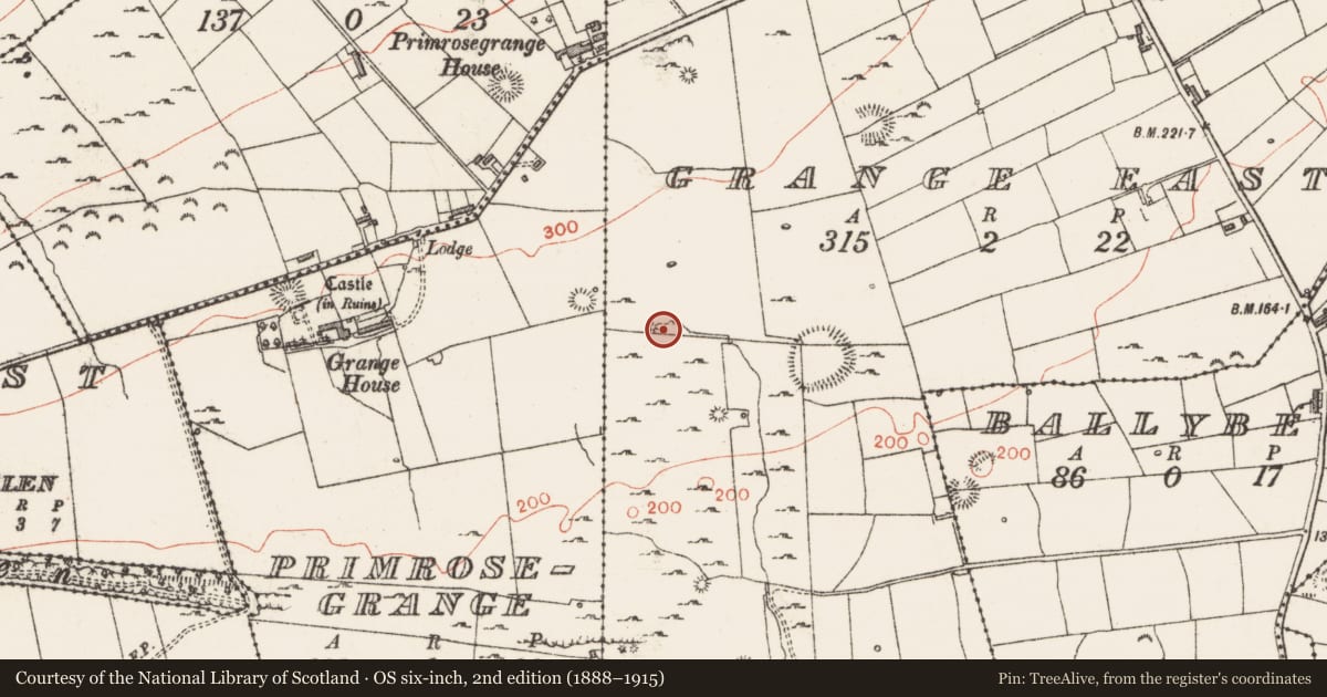 Ordnance Survey six-inch map, 2nd edition (1888–1915) covering the location of Settlement platform, Grange East, County Sligo, with a pin at the register's coordinates