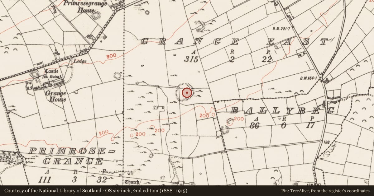 Ordnance Survey six-inch map, 2nd edition (1888–1915) covering the location of Midden, Grange East, County Sligo, with a pin at the register's coordinates