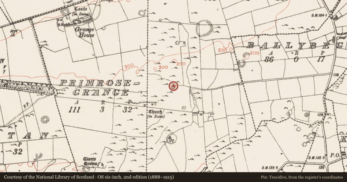 Ordnance Survey six-inch map, 2nd edition (1888–1915) covering the location of Barrow - pond barrow, Grange East, County Sligo, with a pin at the register's coordinates