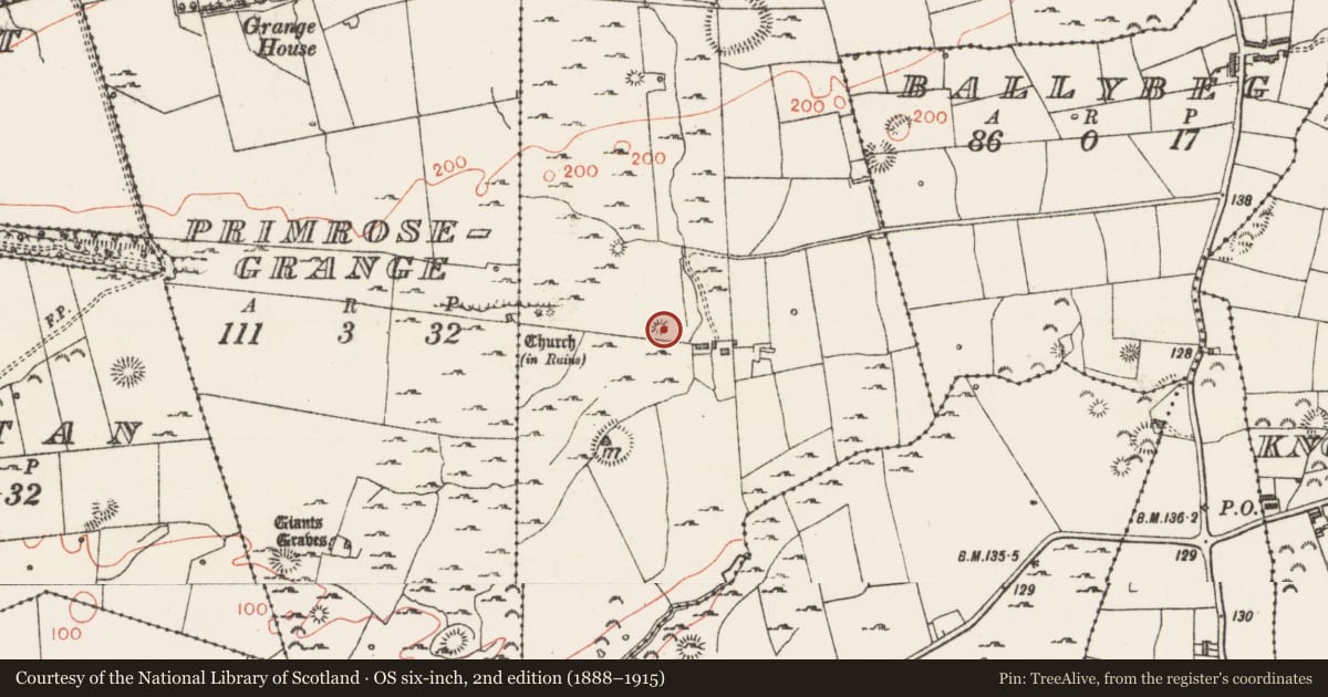 Ordnance Survey six-inch map, 2nd edition (1888–1915) covering the location of Barrow - unclassified, Grange East, County Sligo, with a pin at the register's coordinates