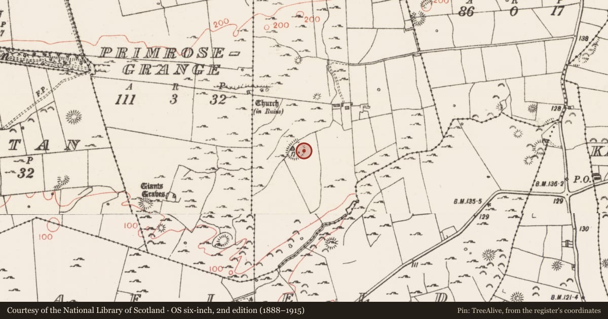 Ordnance Survey six-inch map, 2nd edition (1888–1915) covering the location of Souterrain, Grange East, County Sligo, with a pin at the register's coordinates
