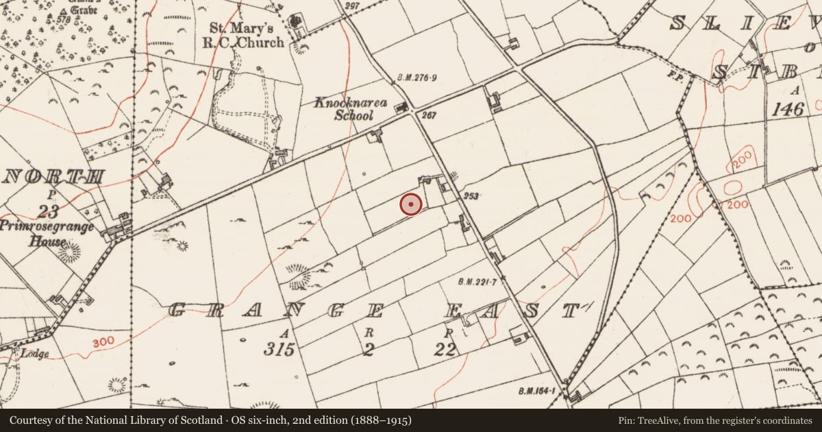 Ordnance Survey six-inch map, 2nd edition (1888–1915) covering the location of Ringfort - rath, Grange East, County Sligo, with a pin at the register's coordinates