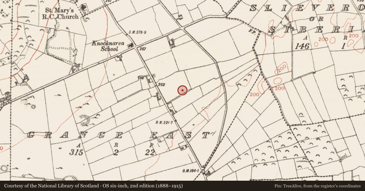 Ordnance Survey six-inch map, 2nd edition (1888–1915) covering the location of Enclosure, Grange East, County Sligo, with a pin at the register's coordinates