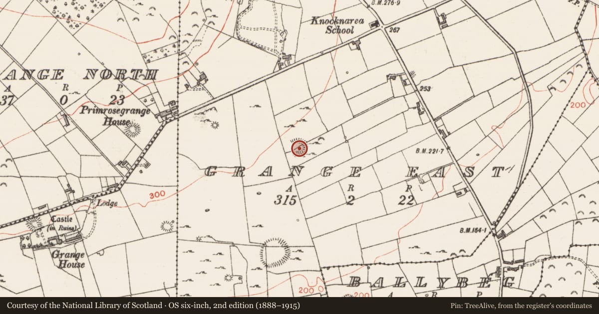 Ordnance Survey six-inch map, 2nd edition (1888–1915) covering the location of Souterrain, Grange East, County Sligo, with a pin at the register's coordinates
