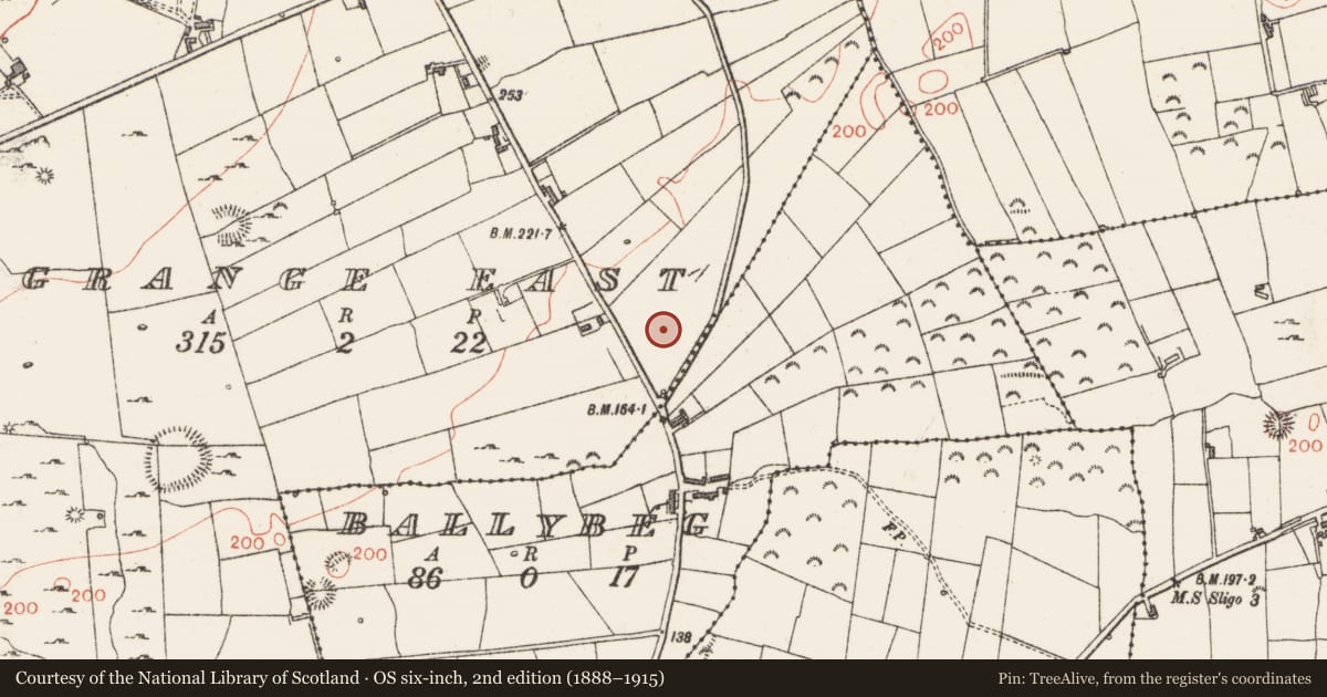 Ordnance Survey six-inch map, 2nd edition (1888–1915) covering the location of Settlement platform, Grange East, County Sligo, with a pin at the register's coordinates