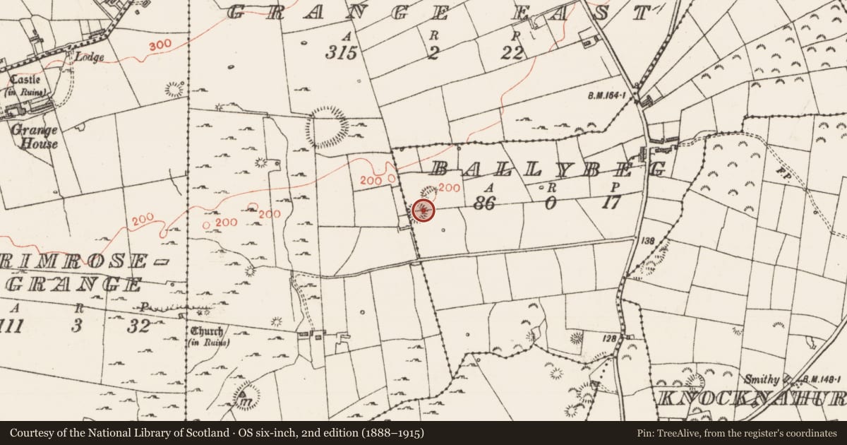 Ordnance Survey six-inch map, 2nd edition (1888–1915) covering the location of Ringfort - rath, Ballybeg, County Sligo, with a pin at the register's coordinates