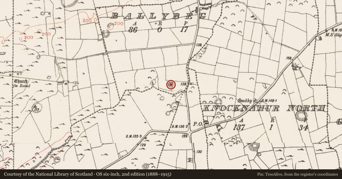 Ordnance Survey six-inch map, 2nd edition (1888–1915) covering the location of Enclosure, Ballybeg, County Sligo, with a pin at the register's coordinates