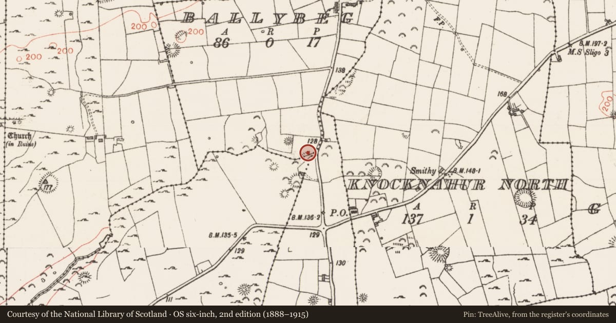 Ordnance Survey six-inch map, 2nd edition (1888–1915) covering the location of Earthwork, Ballybeg, County Sligo, with a pin at the register's coordinates