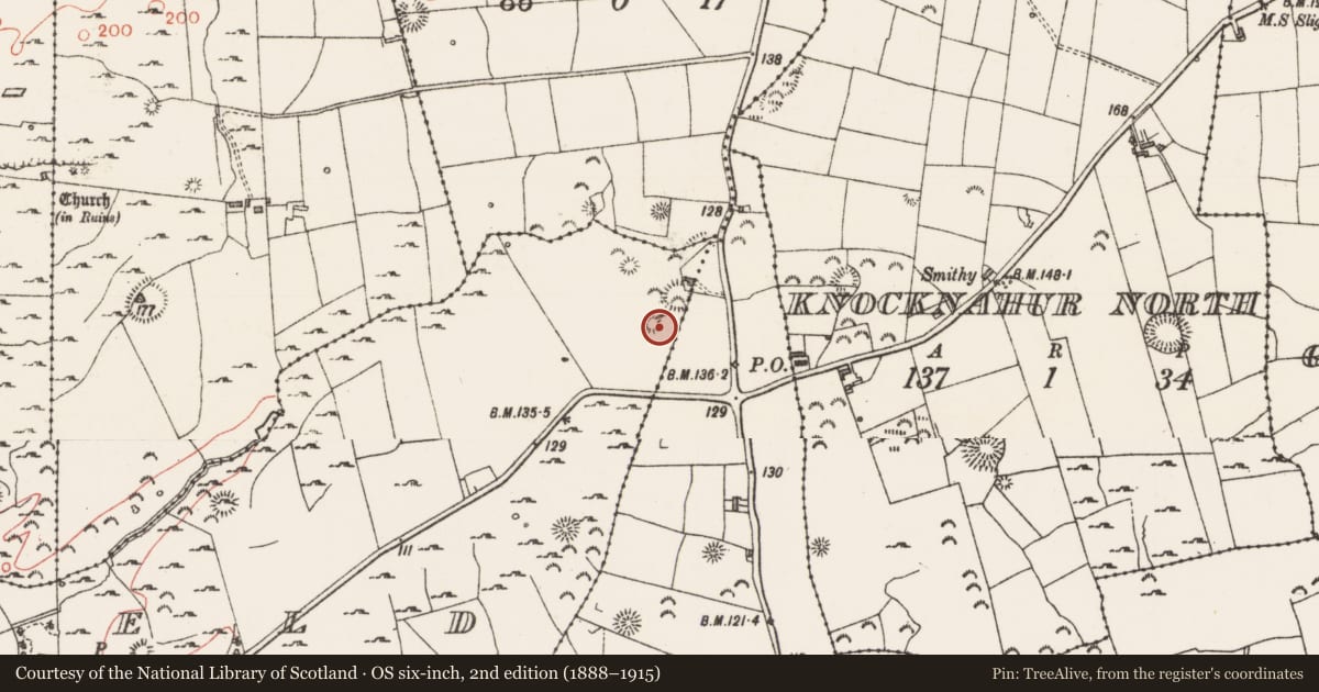 Ordnance Survey six-inch map, 2nd edition (1888–1915) covering the location of Barrow - ring-barrow, Seafield, County Sligo, with a pin at the register's coordinates