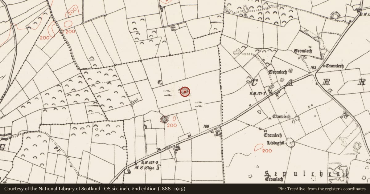 Ordnance Survey six-inch map, 2nd edition (1888–1915) covering the location of Souterrain, Graigue, County Sligo, with a pin at the register's coordinates